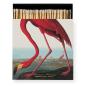 Preview: Archivist Streichhölzer The American Flamingo by Audubon