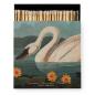 Preview: Archivist Streichhölzer The Common American Swan by Audubon