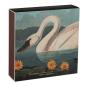 Preview: Archivist Streichhölzer The Common American Swan by Audubon