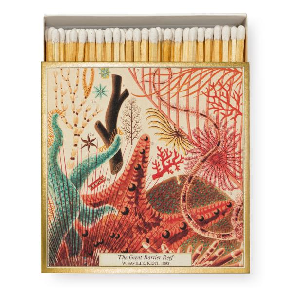 Archivist Streichhölzer Natural History Museum The Great Barrier Reef