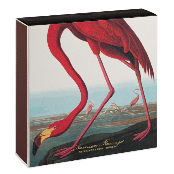 Archivist Streichhölzer The American Flamingo by Audubon