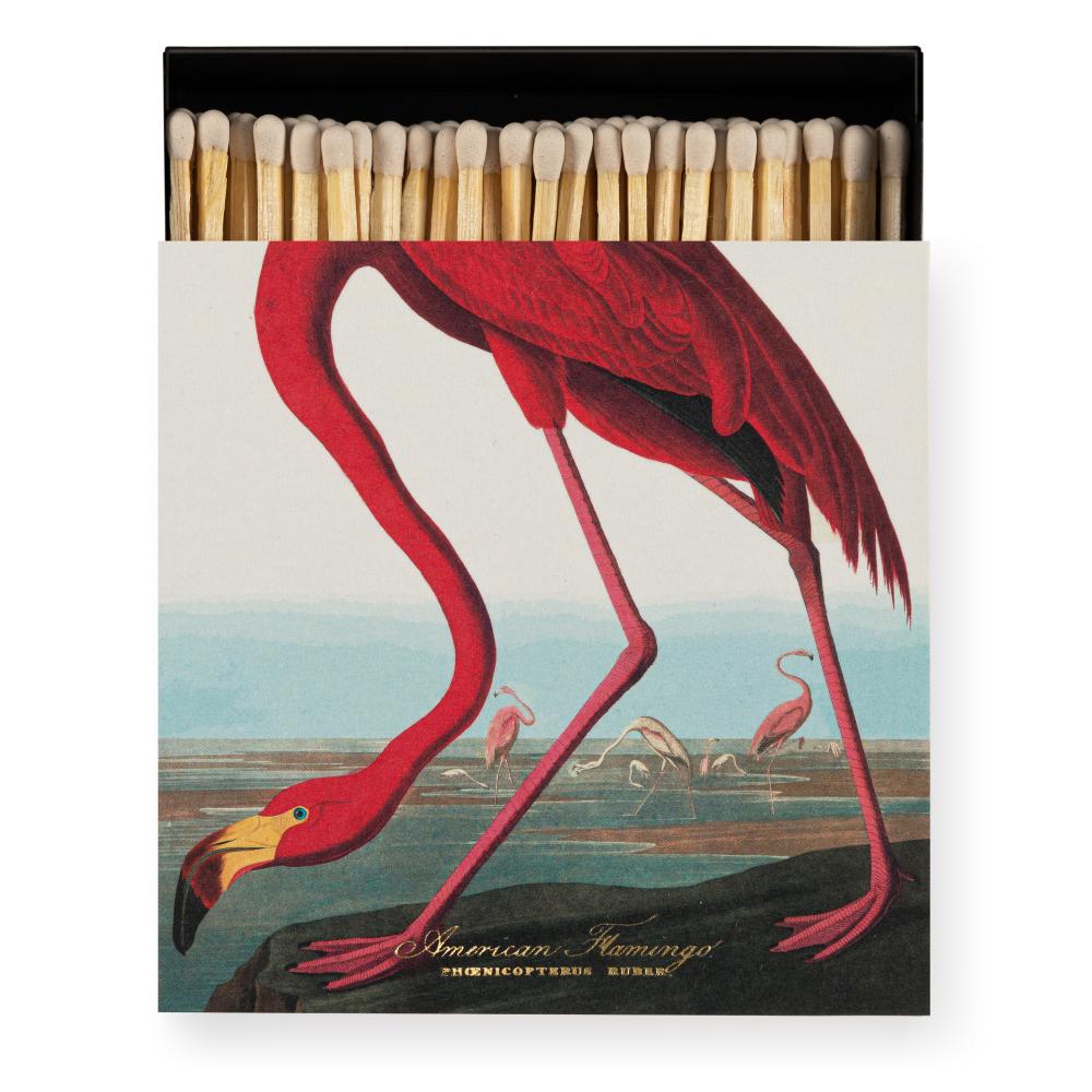Archivist Streichhölzer The American Flamingo by Audubon