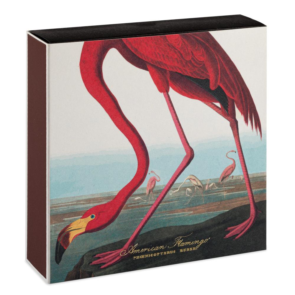 Archivist Streichhölzer The American Flamingo by Audubon