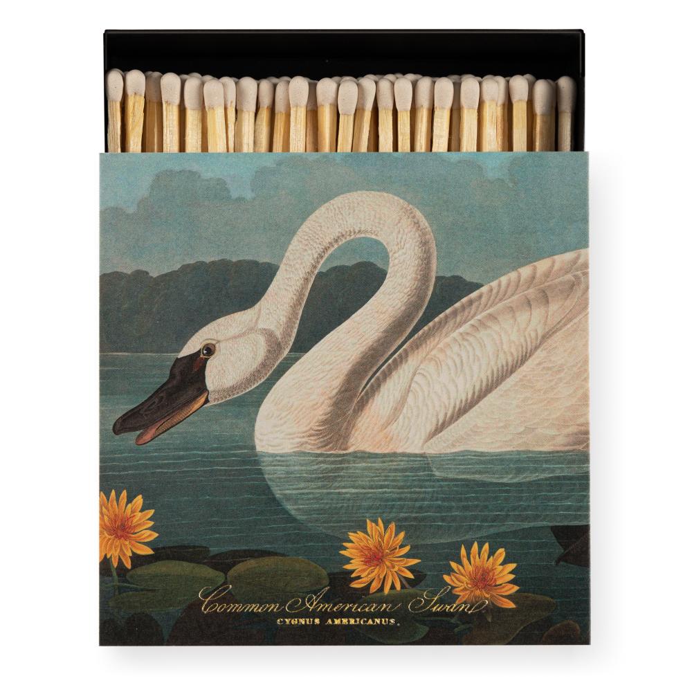 Archivist Streichhölzer The Common American Swan by Audubon