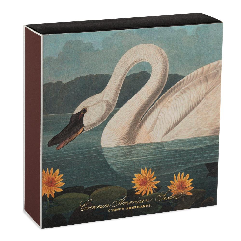 Archivist Streichhölzer The Common American Swan by Audubon